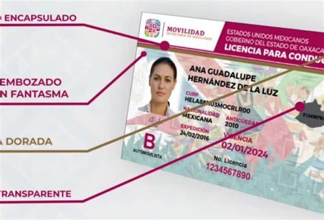 Licencia de Conducir Oaxaca ️【2024 】® SEMOVI Citas